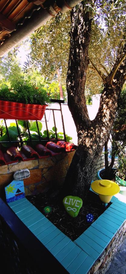 Apartments Erato Neos Panteleimonas Dış mekan fotoğraf
