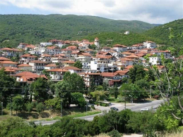 Apartments Erato Neos Panteleimonas Dış mekan fotoğraf